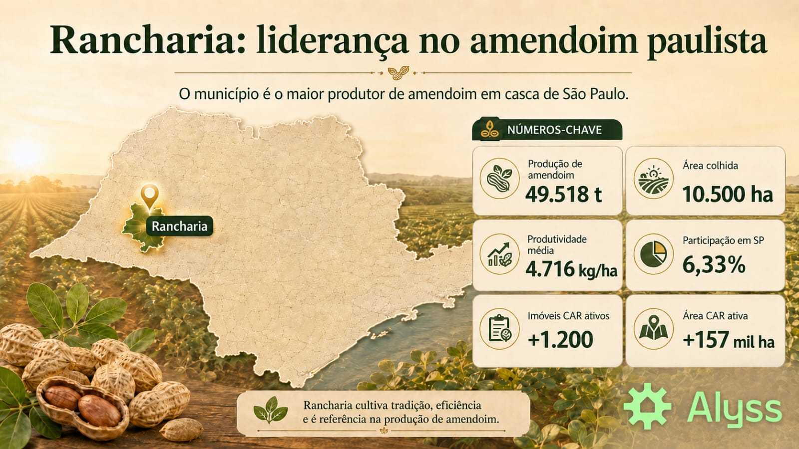 Rancharia: por que o município lidera o amendoim paulista?

Quando se observa a geografia do amendoim em São Paulo, Ranc...