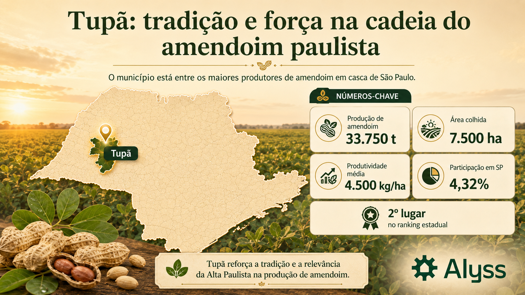 Tupã: tradição e força produtiva na cadeia do amendoim paulista