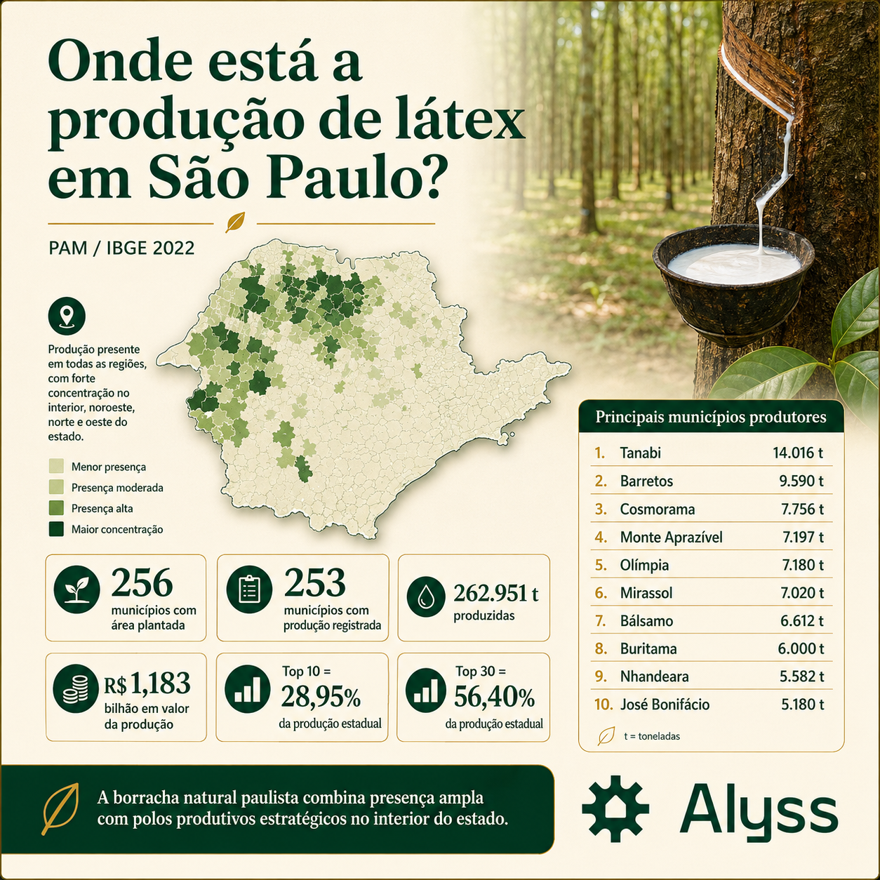 Onde está a produção de látex em São Paulo?