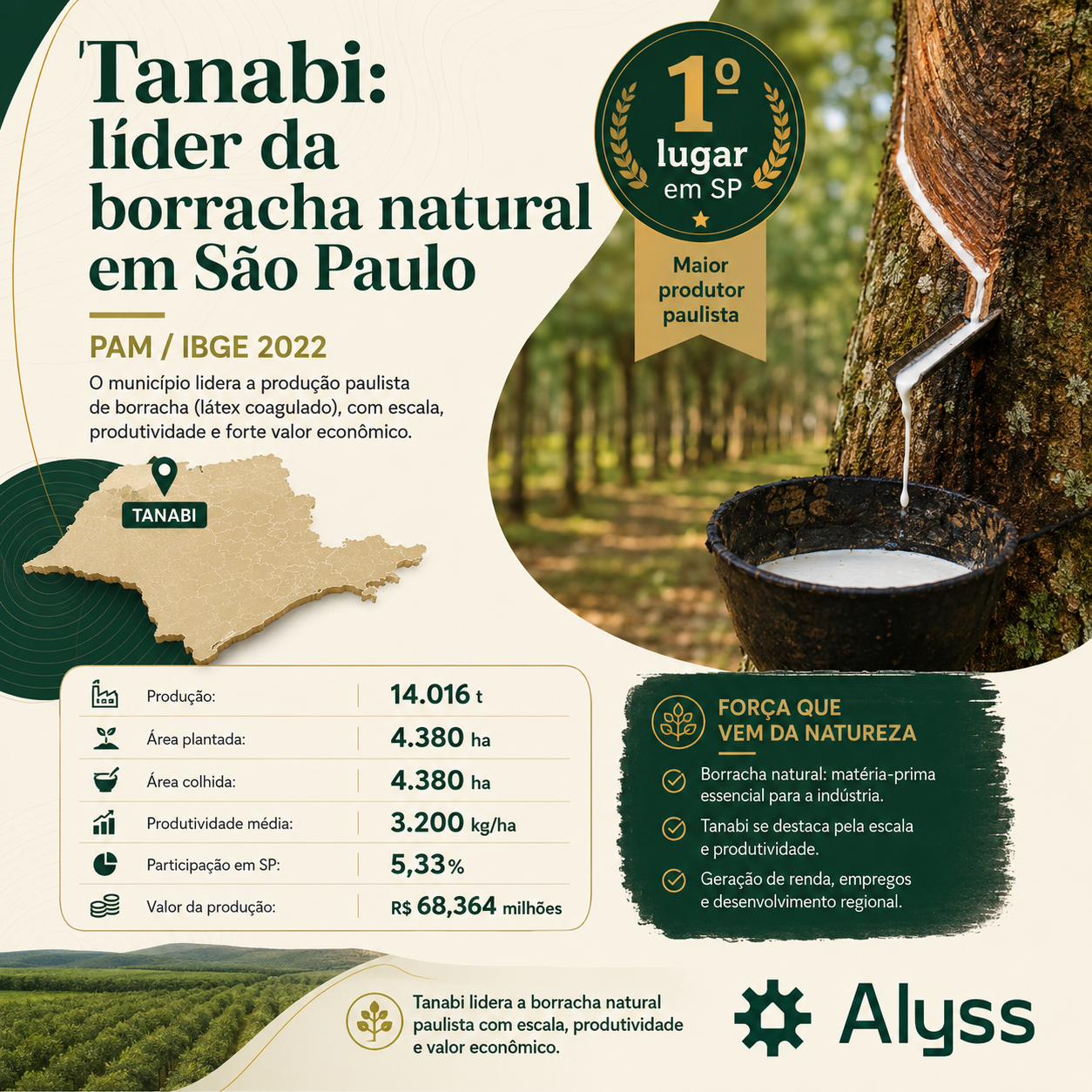 Tanabi: o município líder da borracha natural em São Paulo