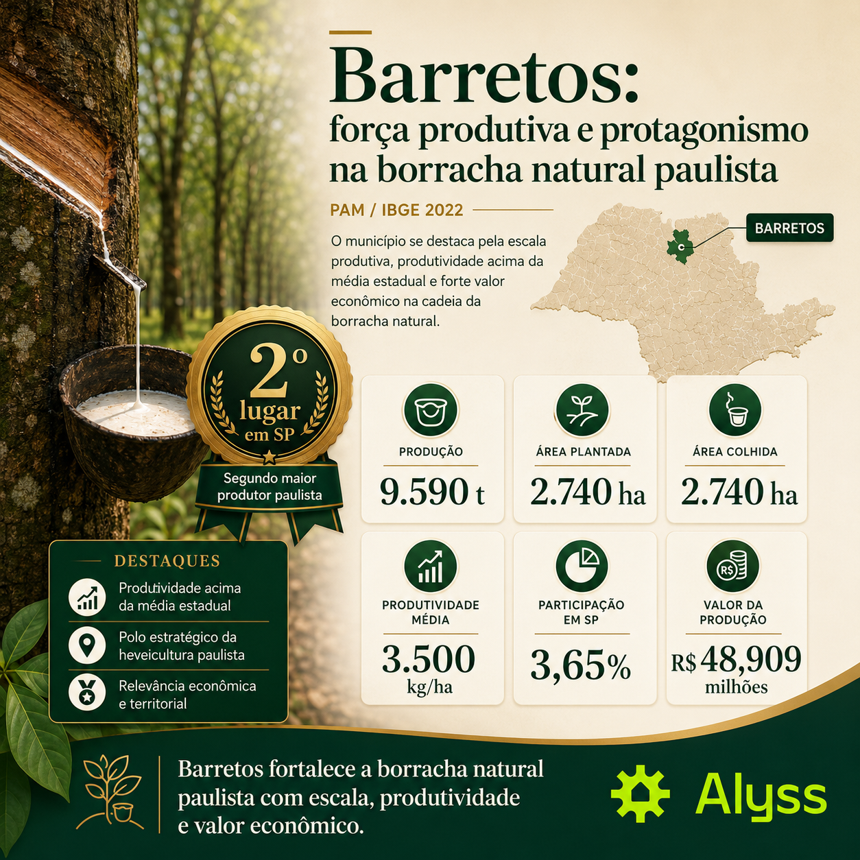 Barretos: força produtiva e protagonismo na borracha natural paulista