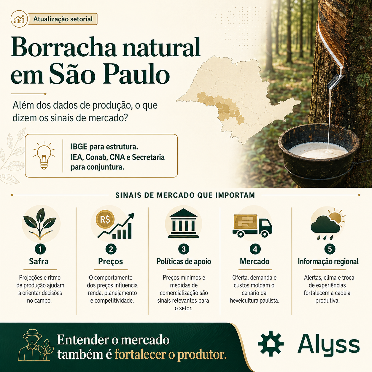 Borracha natural em São Paulo: sinais do mercado